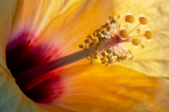 bruno_DSC04668-D