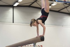 DSC01586-0121
