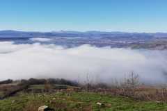 IMG-20240127-WA0005