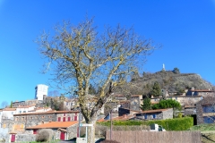 N234251