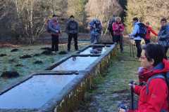 IMG-20240204-WA0005