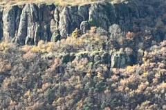 IMG-20241128-WA0014