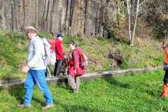 IMG-20241128-WA0034