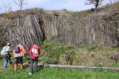 IMG-20241128-WA0050