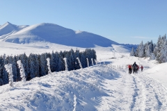 Pessade_Baladou_Tache_Monne_neige_givre_raquettes_groupe_S120615_2024-12-12