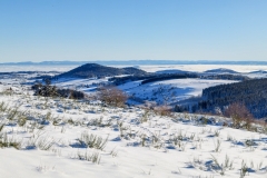 Pessade_Baladou_neige_Limagne_Forez_brouillard_S101624_2024-12-12