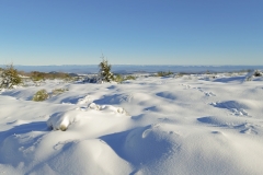 Pessade_Baladou_neige_S142136_2024-12-12