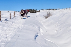 Pessade_Baladou_neige_raquettes_groupe_S132914_2024-12-12