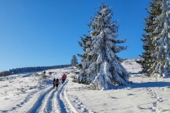 Pessade_Baladou_neige_sapins_raquettes_groupe_S100922_2024-12-12