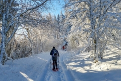 Pessade_sapins_neige_raquettes_Gilles_S100235_2024-12-12