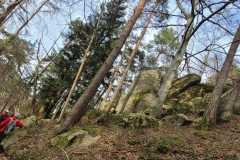 IMG-20250311-WA0023