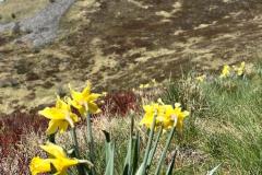 IMG-20250501-WA0003