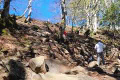 IMG-20250502-WA0003