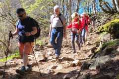 IMG-20250502-WA0004