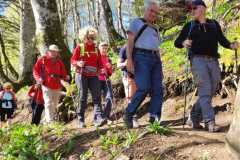 IMG-20250502-WA0006