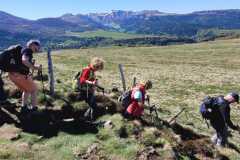 IMG-20250502-WA0012