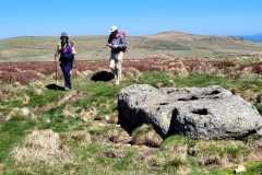 IMG-20250502-WA0019