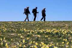 IMG-20250502-WA0033