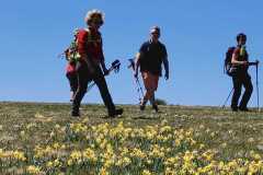 IMG-20250502-WA0034