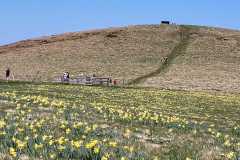 IMG-20250502-WA0037