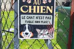 IMG-20250515-WA0003