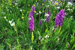 IMG-20250516-WA0004