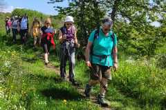 IMG-20250516-WA0007
