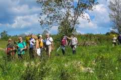 IMG-20250516-WA0008