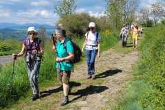 IMG-20250516-WA0010