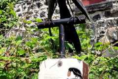 IMG-20250516-WA0015