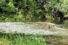 IMG-20250516-WA0016