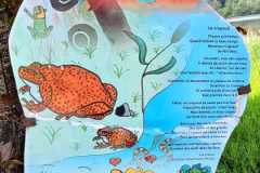 IMG-20250516-WA0024