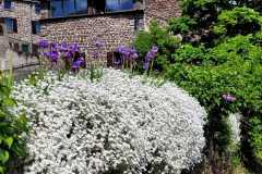 IMG-20250516-WA0032