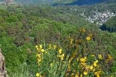 IMG-20250522-WA0000