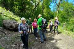 IMG-20250522-WA0002