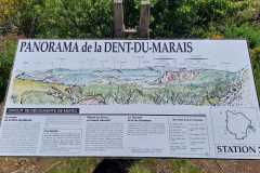 IMG-20250522-WA0014