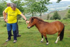 J2-117-eb-Ainhoa_Mont-Errebi_Philippe_Pottok_S1115587_2025-06-03