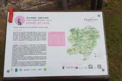 IMG-20250911-WA0003