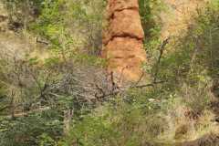 IMG-20250911-WA0008