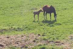 IMG-20250911-WA0010