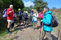 IMG-20250911-WA0011
