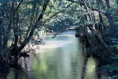 DSC01522-D-riviere-copie