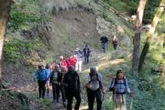 DSC01536-D-marcheurs-0043