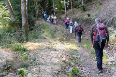 DSC01537-D-marcheurs-0043