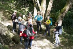 DSC01610-D-grp-copie