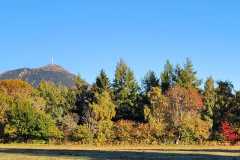 01AIMG-20251012-WA0000