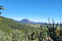 02AIMG-20251012-WA0001