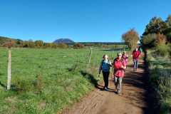 40AIMG-20251012-WA0030