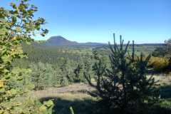 50AIMG-20251012-WA0022