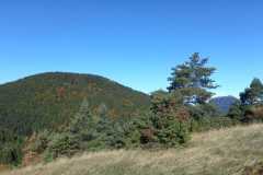 65AIMG-20251012-WA0023